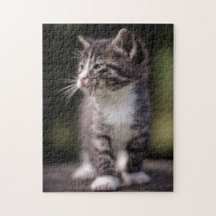 Kitten Standing Tall Legpuzzel
