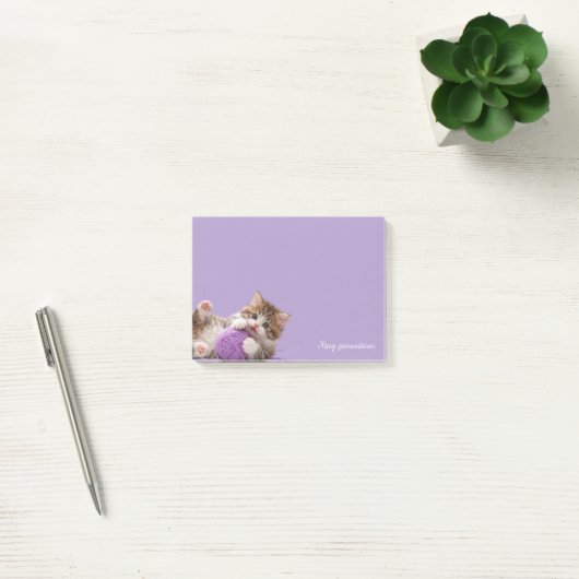 Kitten Stay Pawsitive Sticky Notes (Kantoor)