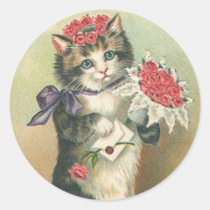  kitten Stickers