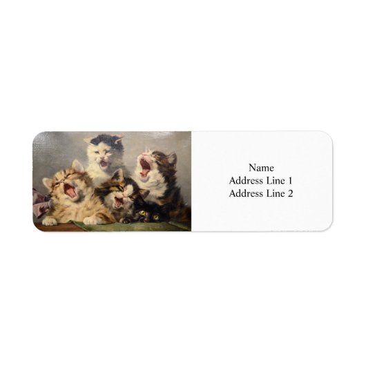 Kitten Symfonie door Julius Adam II Etiket (Voorkant)