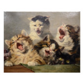 Kitten Symfonie door Julius Adam II Perfect Poster (Voorkant)