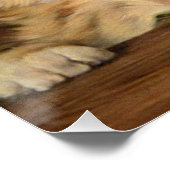 Kitten Symfonie door Julius Adam II Perfect Poster (Hoek)