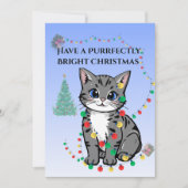 Kitten Tangled in Christmas Light- Flat Card Feestdagenkaart (Voorkant)
