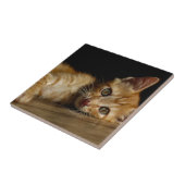 Kitten Tegeltje (Zijkant)