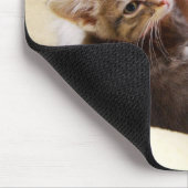 Kitten Trio Mousepad Muismat (Hoek)