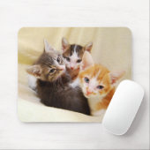 Kitten Trio Mousepad Muismat (Met muis)