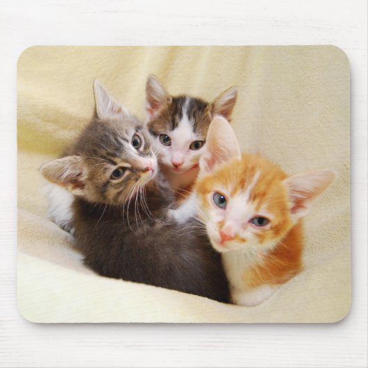 Kitten Trio Mousepad Muismat (Voorkant)