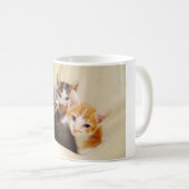 Kitten Trio Mug (Devant droit)