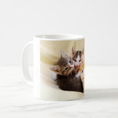 Kitten Trio Mug (Devant gauche)