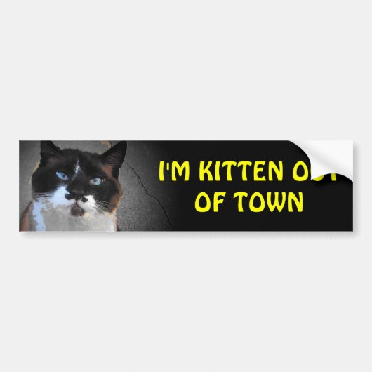 Kitten uit de stad RV Vakantie Bumpersticker (Voorkant)