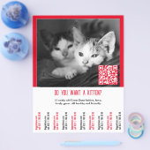 Kitten Verkoop Flyer (Enkel)