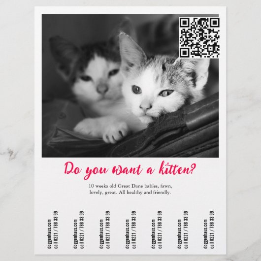 Kitten Verkoop Flyer (Voorkant)