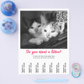 Kitten Verkoop Flyer (Enkel)