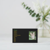 Kitten Visitekaartjes (Staand voorkant)