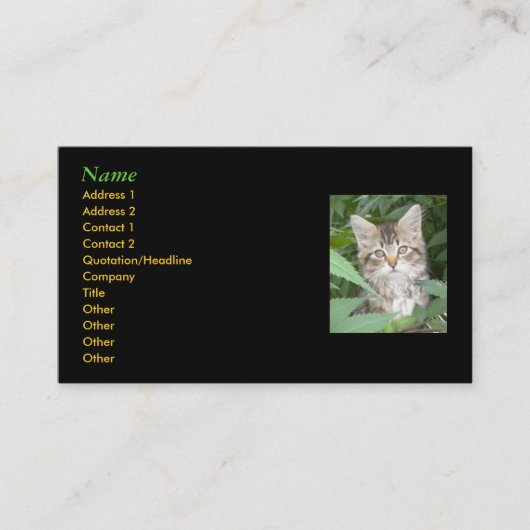 Kitten Visitekaartjes (Voorkant)