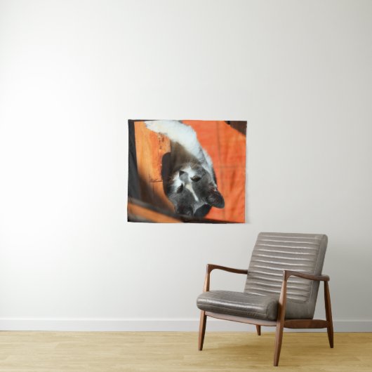 Kitten Wandkleed (In Situ (horizontaal))