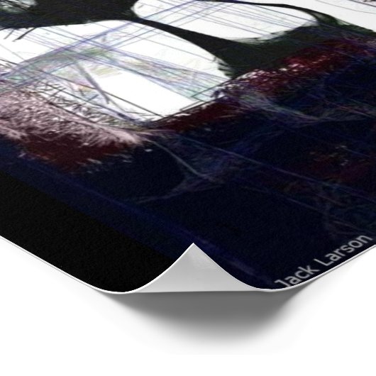 Kitten Watching Pluie from Window .. affiche de l' (Coin)