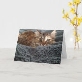 Kitten wenskaart #1 kaart (Gele Bloem)