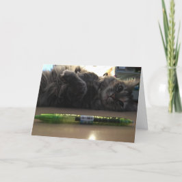 kitten wenskaart #2 kaart