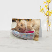 Kitten wenskaart #3 kaart (Gele Bloem)