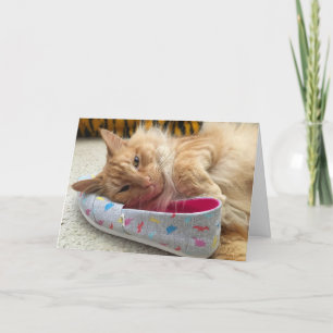Kitten wenskaart #3 kaart