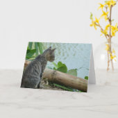 Kitten Wenskaart - Blank Kaart (Gele Bloem)