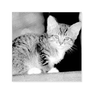 Kitten Zelfinktende Stempel