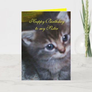 KITTEN, ZUSTER VERJAARDAG KAART