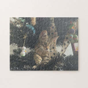 Kittenfoto Dier Huisdier Kat Legpuzzel