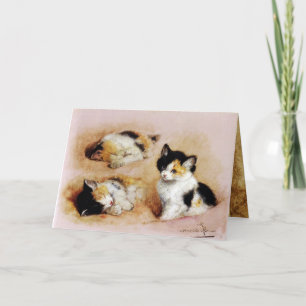 KITTENNS Ontwaken Kaart