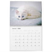Kittens 2026 Calendar Kalender (Jan 2026)