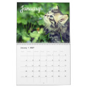Kittens 2026 Kalender (Jan 2027)