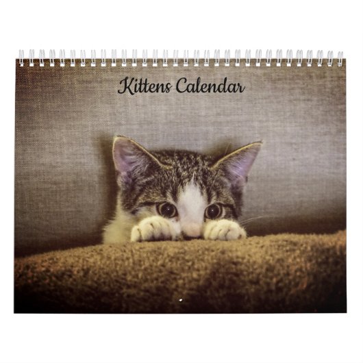 Kittens 2026 Kalender (Hoes)