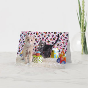 Kittens adorable - Chat / Kitten Carte d'anniversa