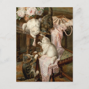 Kittens afspelen briefkaart