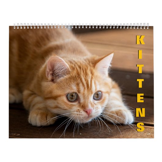 Kittens-agenda Kalender (Hoes)