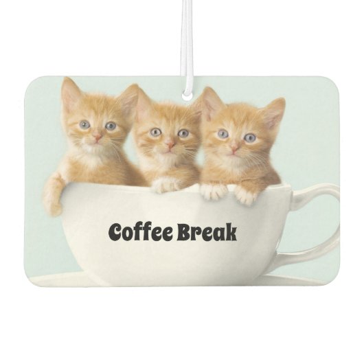 Kittens Air Freshener Luchtverfrisser (Voorkant)