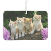 Kittens Air Freshener Luchtverfrisser (Achterkant)
