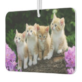 Kittens Air Freshener Luchtverfrisser (Links)