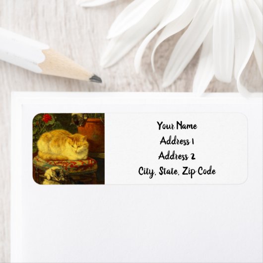 Kittens bij Play Etiket (Insitu)