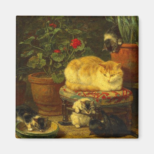 Kittens bij Play Magneet (Voorkant)