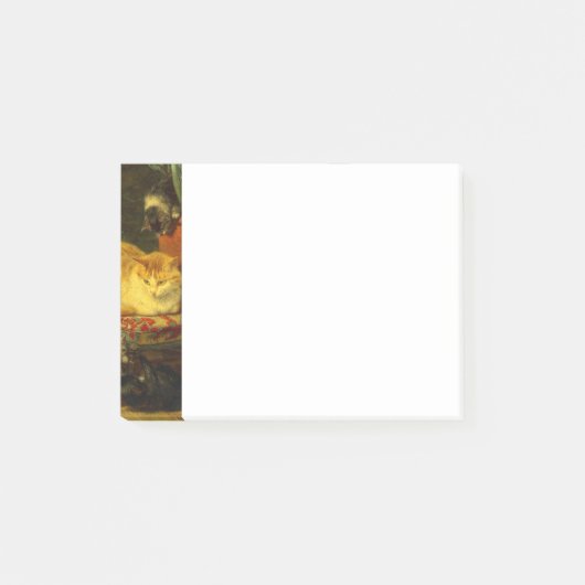 Kittens bij Play Post-it® Notes (Voorkant)