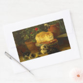 Kittens bij Play Rechthoekige Sticker (Envelop)