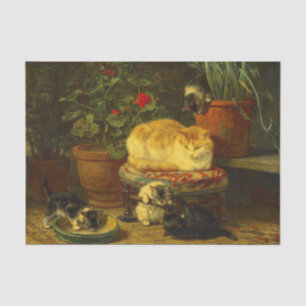 Kittens bij Play Tissuepapier