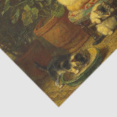 Kittens bij Play Tissuepapier (Detail)