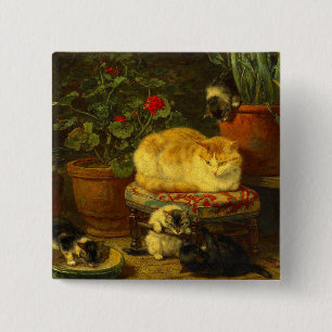 Kittens bij Play Vierkante Button 5,1 Cm