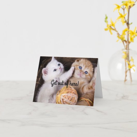 Kittens Bonne carte d'anniversaire (Fleur jaune)