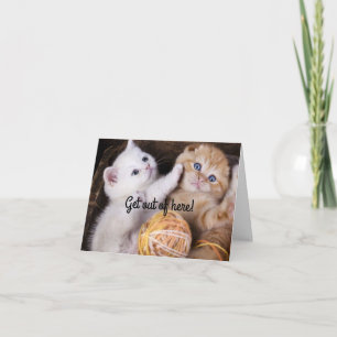 Kittens Bonne carte d'anniversaire