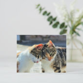 Kittens Briefkaart (Staand voorkant)