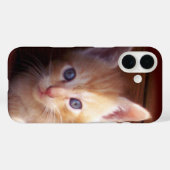 Kittens Case-Mate iPhone Case (Achterkant (horizontaal))